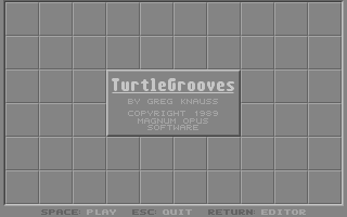 Turtle Grooves