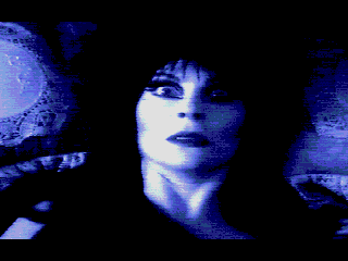 Elvira the Arcade Game
